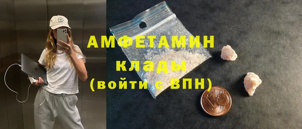 амф Алексин