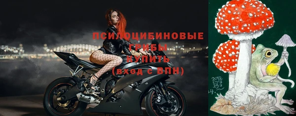 дурь Алексеевка